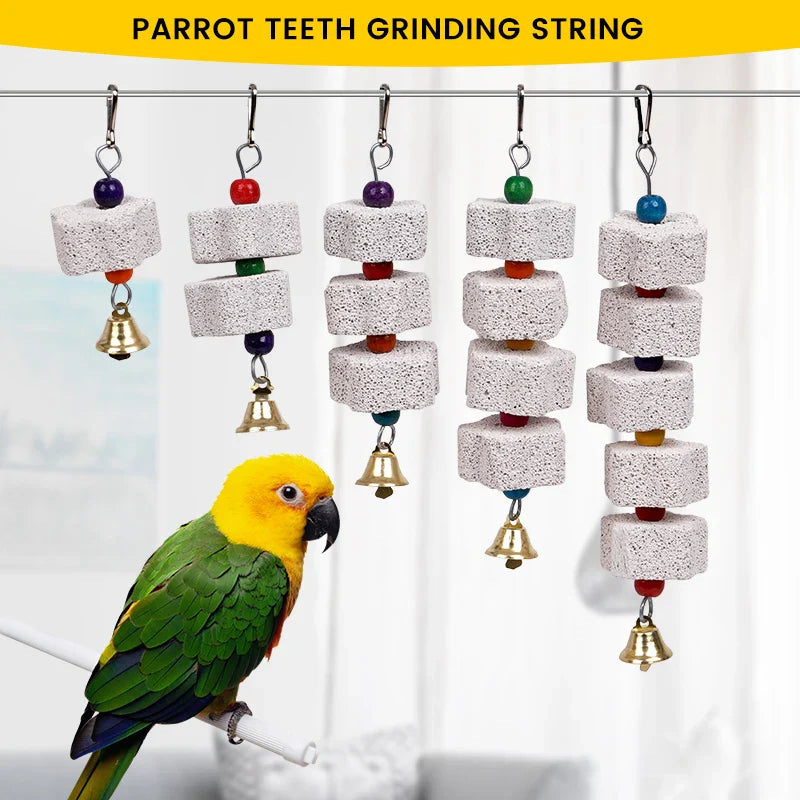 Parrot teeth grinding string with a parrot perched below on a white background
