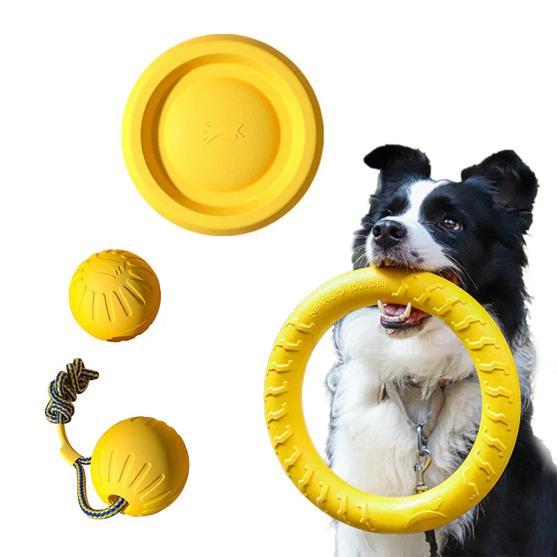 Dog playing with a yellow toy set on a white background