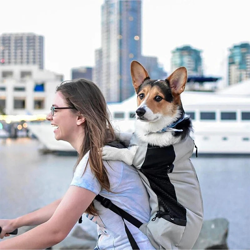 Woman riding a bike with a dog in a backpack against a cityscape background