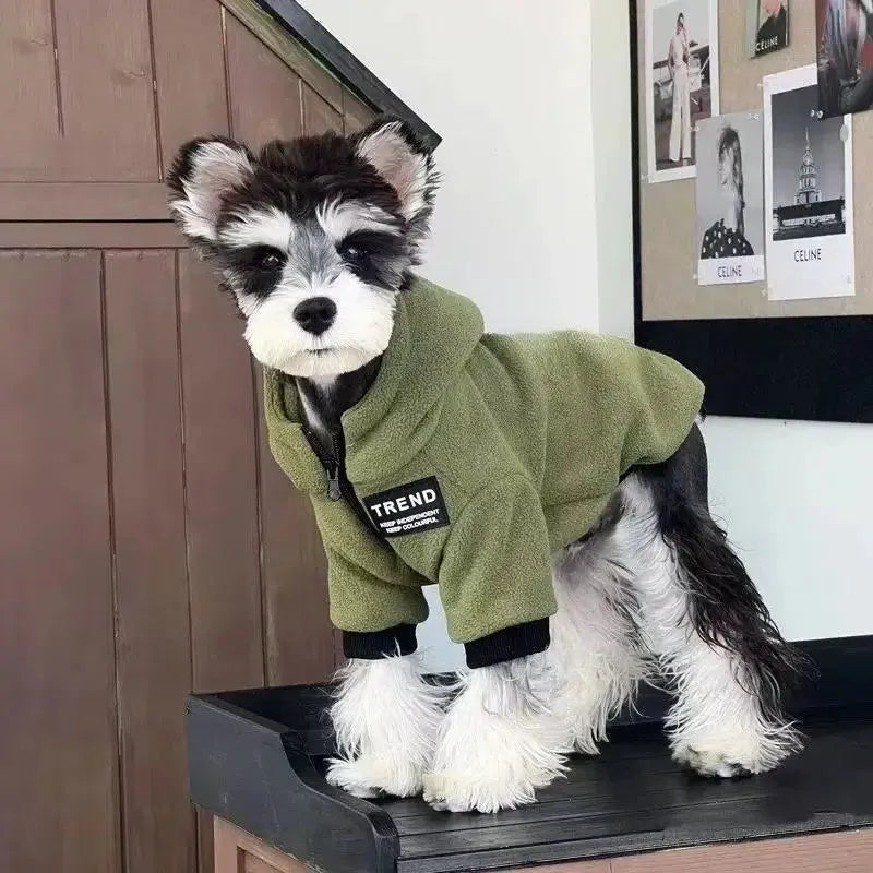 Small dog wearing a green hoodie with 'TREND' label on a wooden floor.