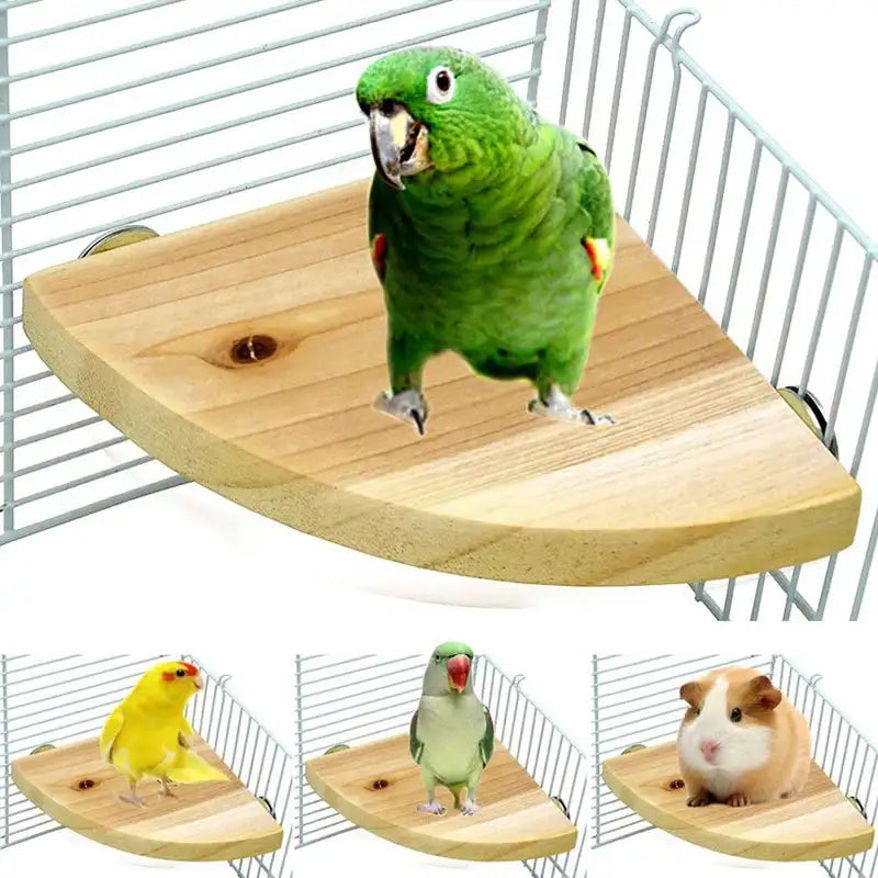 Fan-Shaped Wooden Perch Stand for Birds and Small Animals - Eco-Friendly Cage Accessory